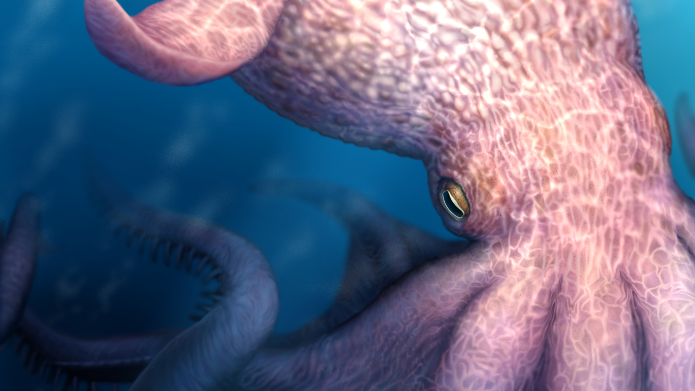 A real-life Kraken stalked the seas of the late Cretaceous