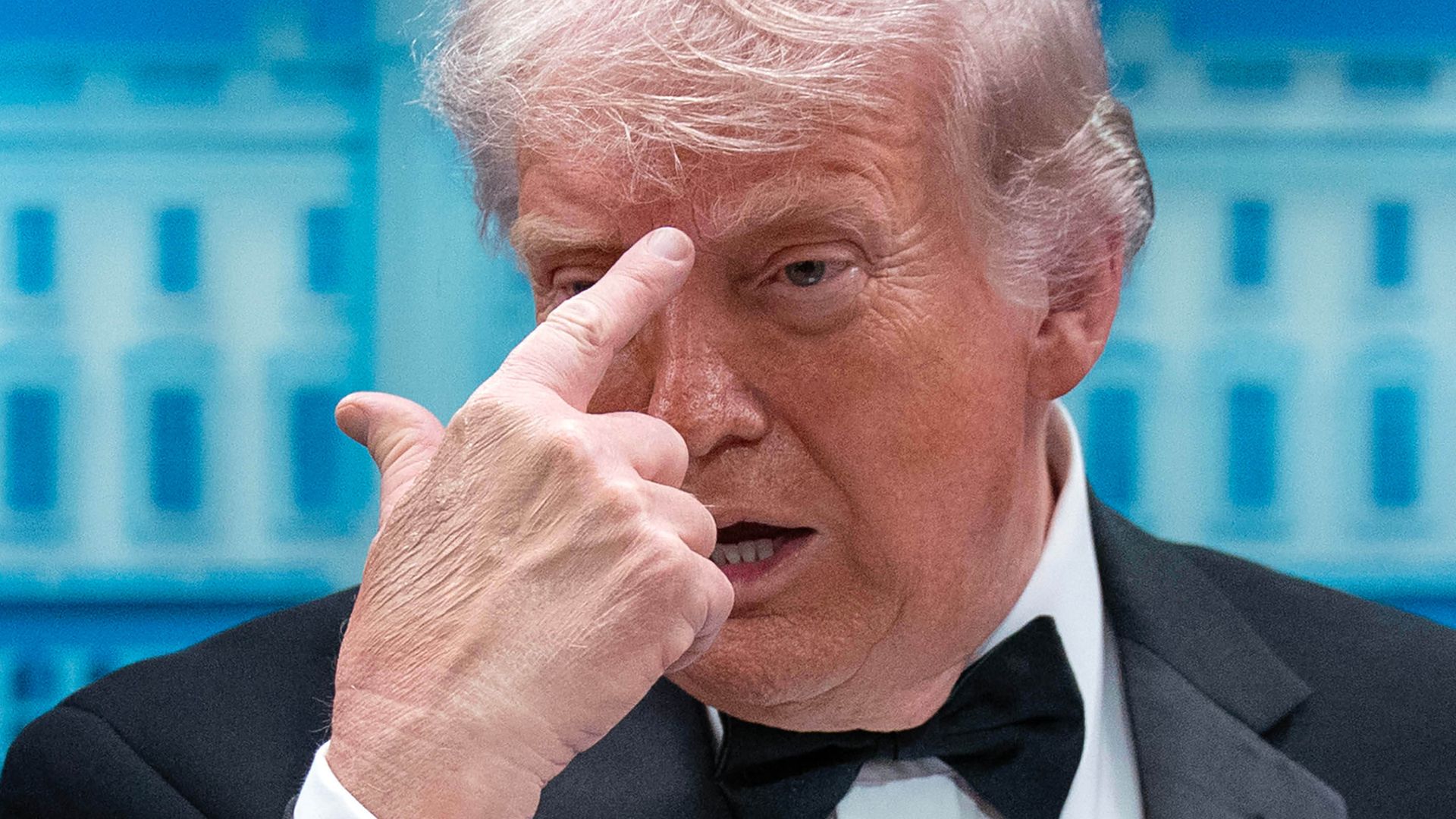 The people who’ve tried to kill Tweety McTreason