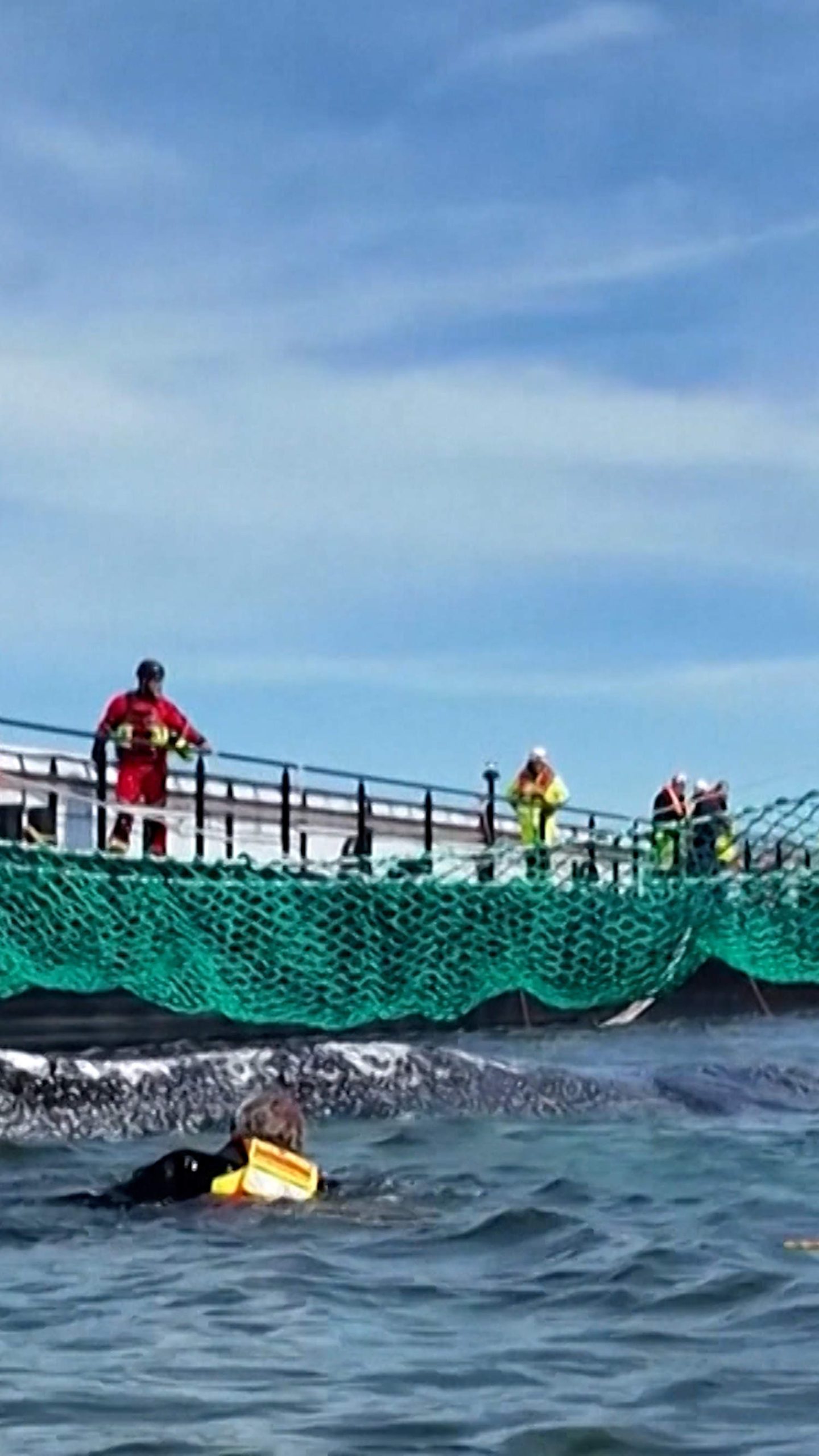 Stranded humpback whale coaxed onto rescue barge