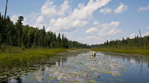Trump OKs mining near Minnesota’s Boundary Waters along Canadian border