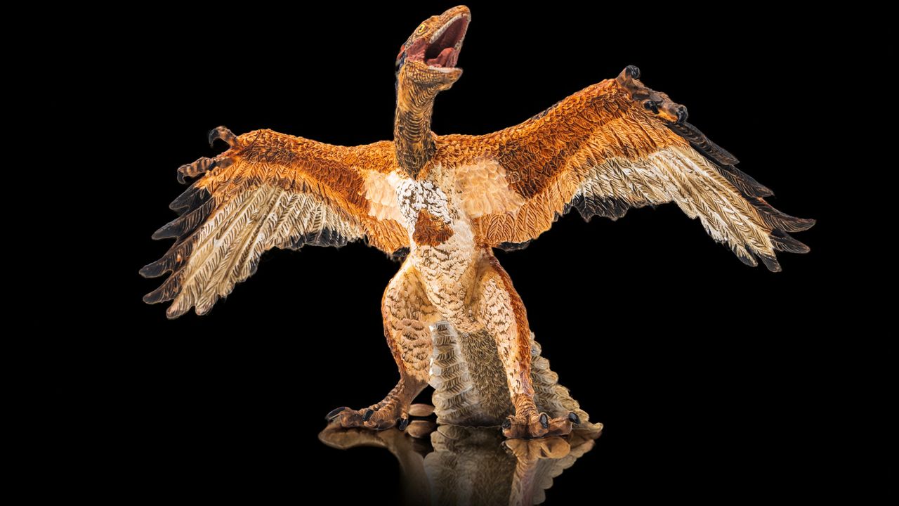 ‘He began to cry, and almost fell to the floor’: The fluffy fossil that finally showed the world that birds are dinosaurs