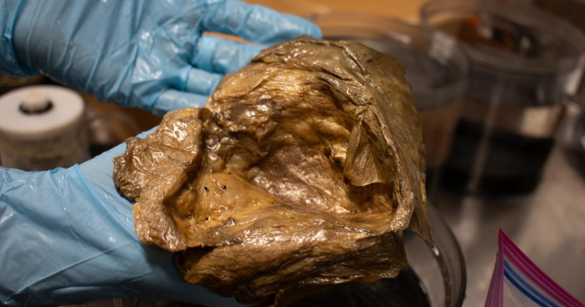 ‘Golden egg’ mystery discovered at the bottom of the sea solved after fear of aliens