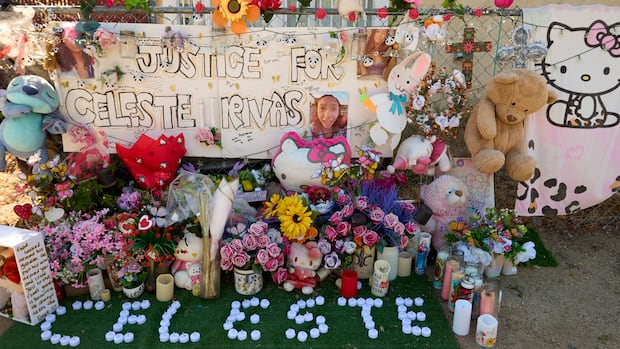 Prosecution alleges singer D4vd killed 14-year-old girl to silence her