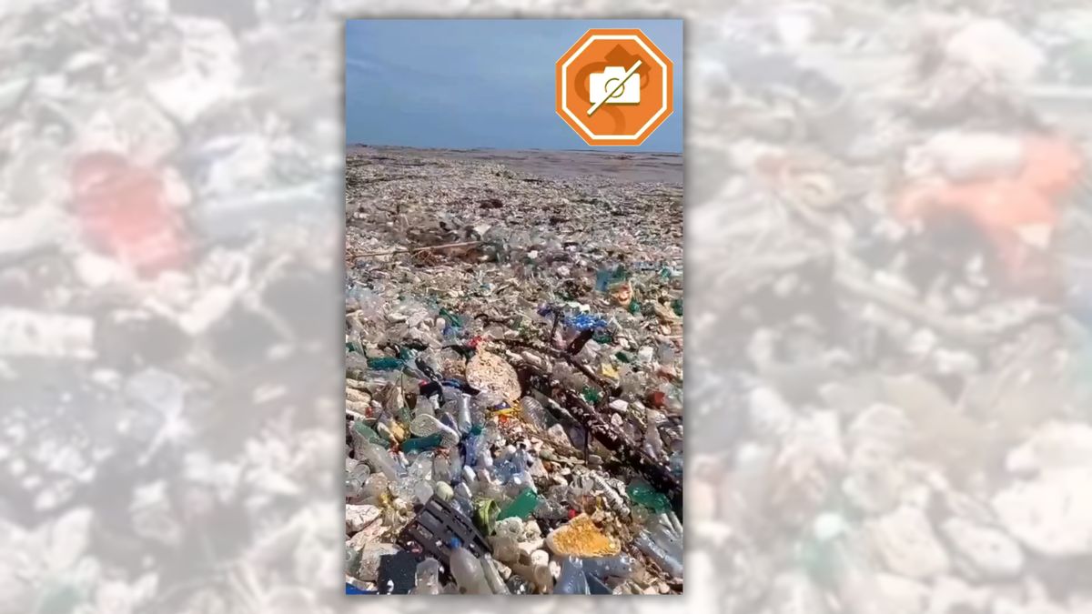 Does video show major water pollution in India?