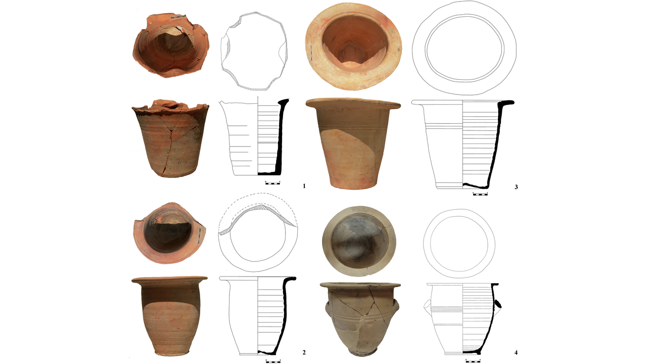 Poop-encrusted chamber pots from the Roman Empire reveal oldest known human cases of Crypto parasite