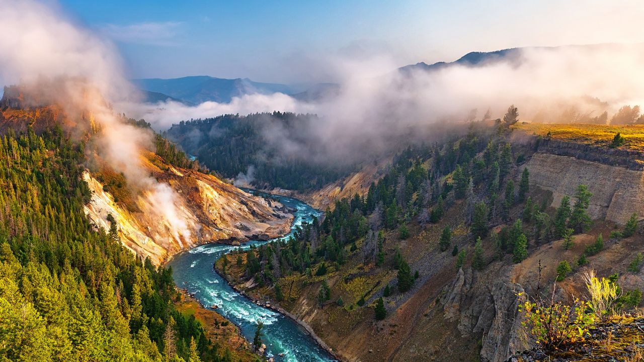 ‘It cuts both ways’: Positive tipping points can restore wreaked ecosystems — we just need to trigger them, Earth system scientist Tim Lenton says