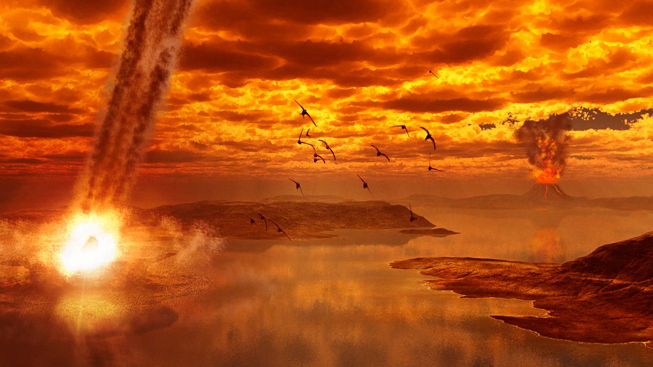 ‘I’m more hopeful that birds can endure than maybe even our own species’: Paleontologist Steve Brusatte on why birds are the ultimate survivors