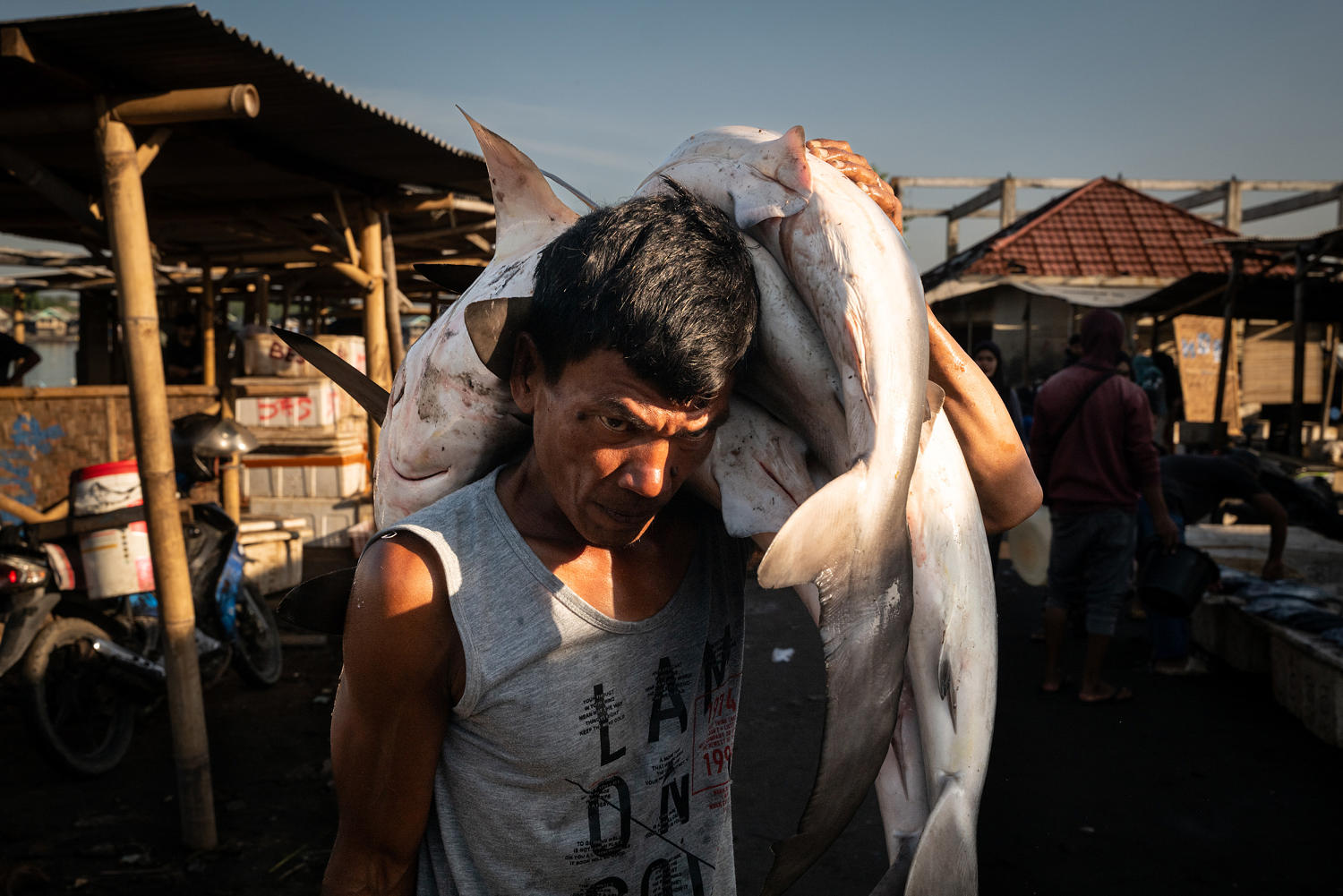 Photo essay: Southeast Asia’s overfishing crisis — and the effort to uncover its roots