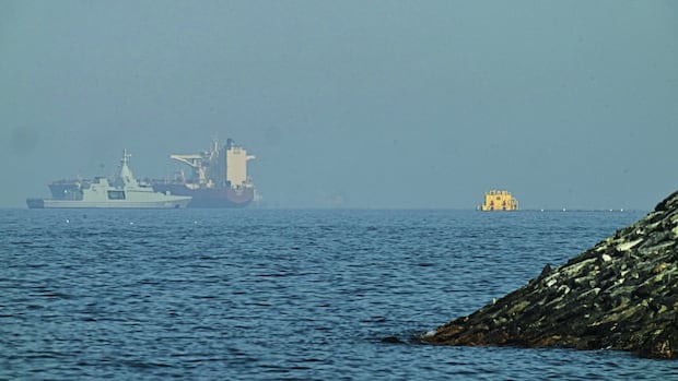 Trump says operation will start Monday to help stranded ships leave Strait of Hormuz