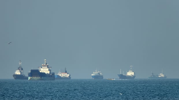 Trump pauses U.S. effort to guide vessels through Strait of Hormuz in bid to make deal with Iran