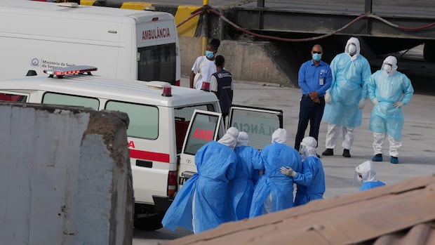 WHO confirms Andes strain of hantavirus in cruise ship passengers, with 3 transferred from ship for treatment