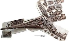 Giant sea monster fossil more than 20feet long and 180million years old found