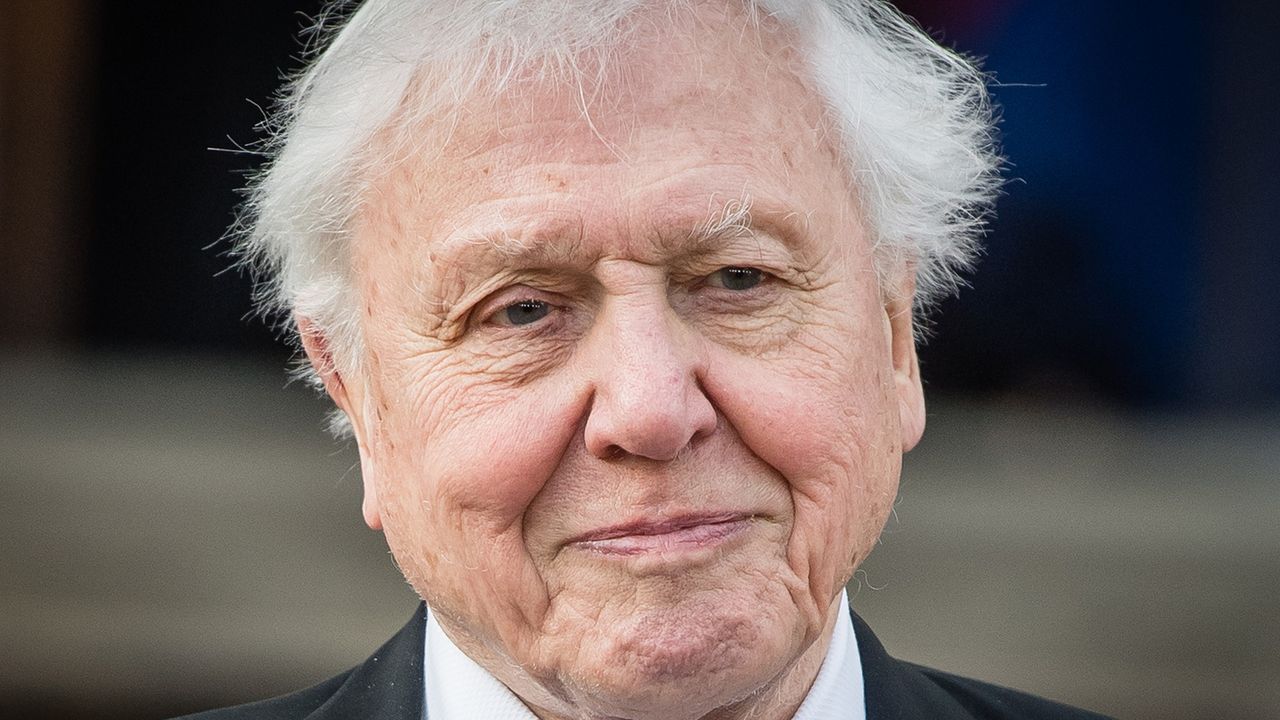 Happy 100th birthday, David Attenborough! 13 surprising facts about the famous naturalist
