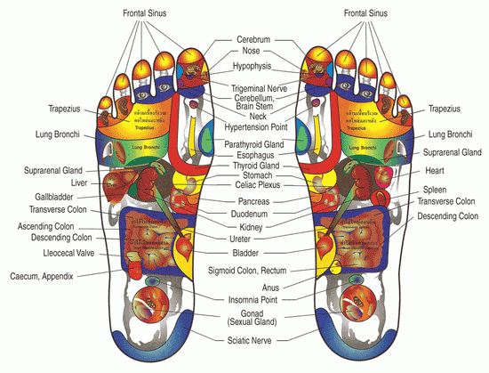 Legislative Alchemy: Licensing reflexologists and other practitioners of pseudoscience