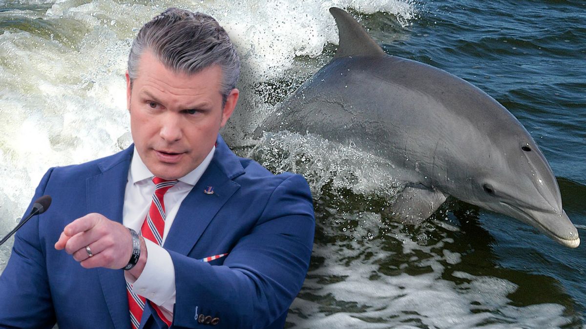 Does US military use ‘kamikaze dolphins’? We dived into claim