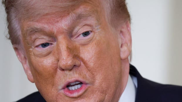 U.S. trade court rules in favour of plaintiffs who challenged Trump’s global tariffs