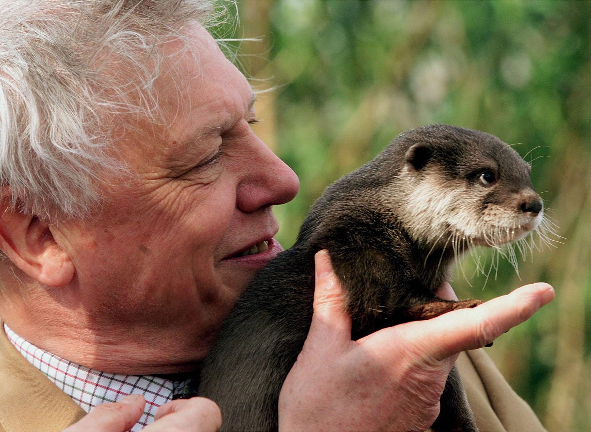 Celebrated naturalist David Attenborough marks 100th birthday