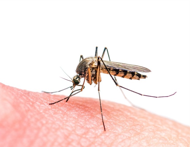 Plant-based mosquito repellent offers effective alternative to DEET lotions