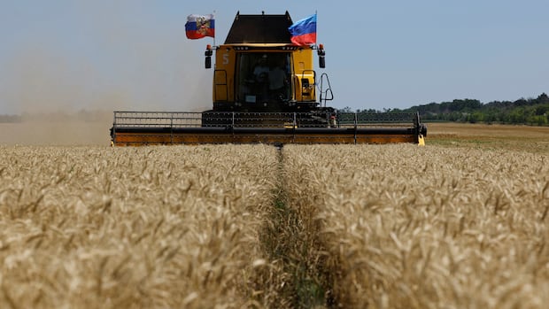 Grain dispute reveals bad blood between Ukraine and Israel