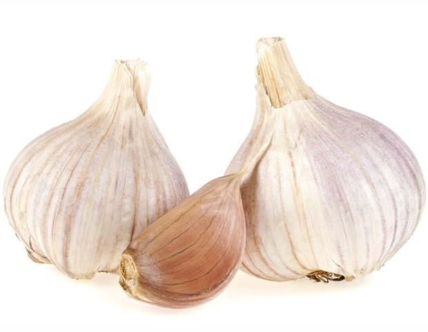 Yale study finds garlic acts as birth control for mosquitoes
