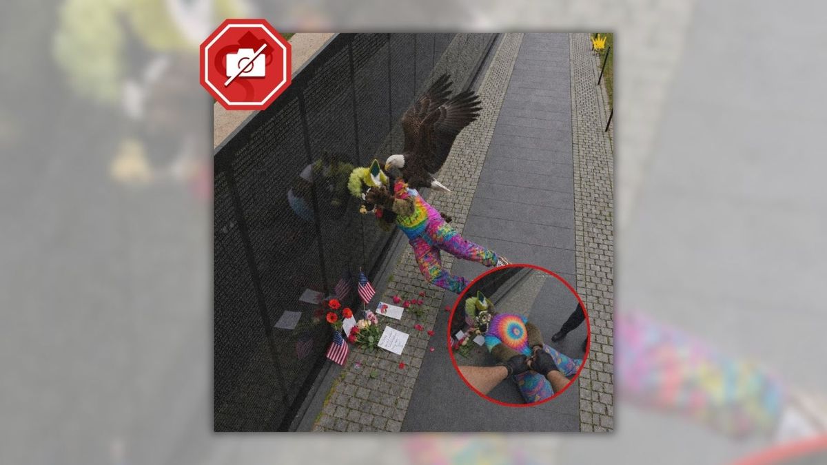 Does image show bald eagle attacking furry for defiling veterans memorial? Don’t be fooled