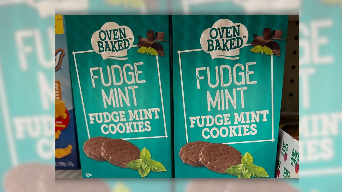 Does same baker make Girl Scout cookies and Dollar Tree knockoffs? We checked
