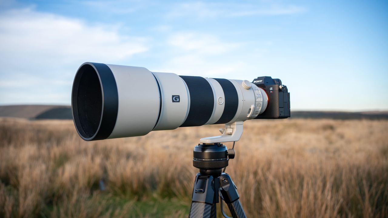 Sony FE 200-600mm f/5.6-6.3 G OSS review