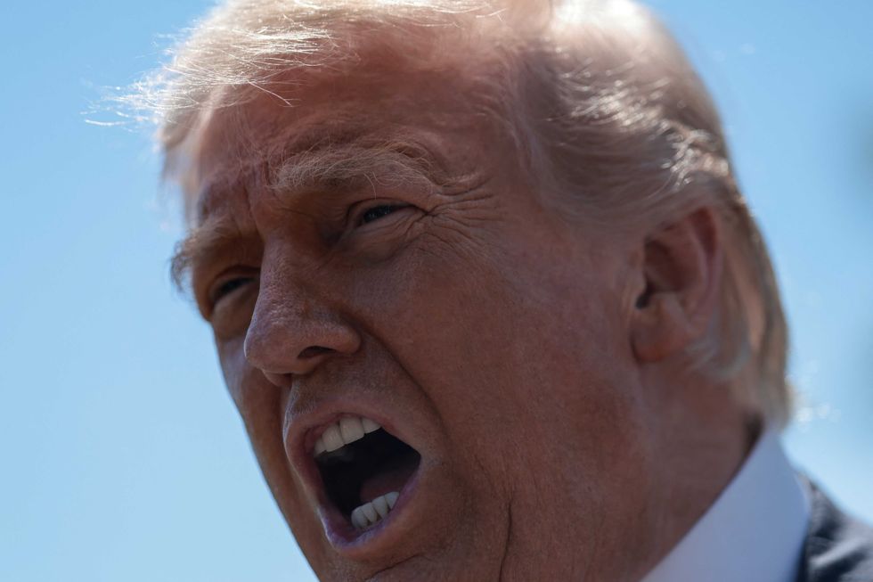Trump on verge of ‘largest single act of grand larceny in American history’: Congressman