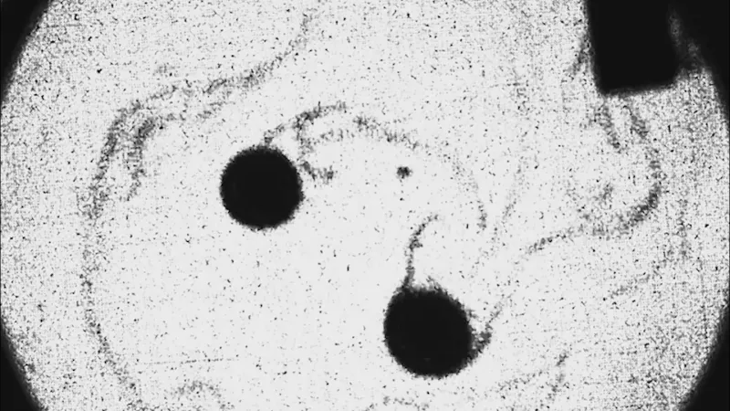 Water drops on soap bubble films act like merging galaxies