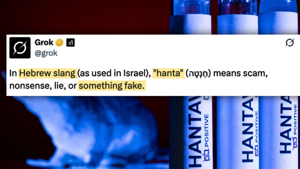 Does ‘hanta’ mean ‘scam’ in Hebrew slang? Social media users confused similar words