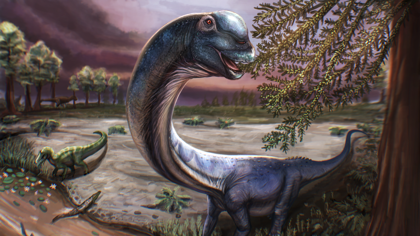 Researchers unearth Southeast Asia’s largest dinosaur