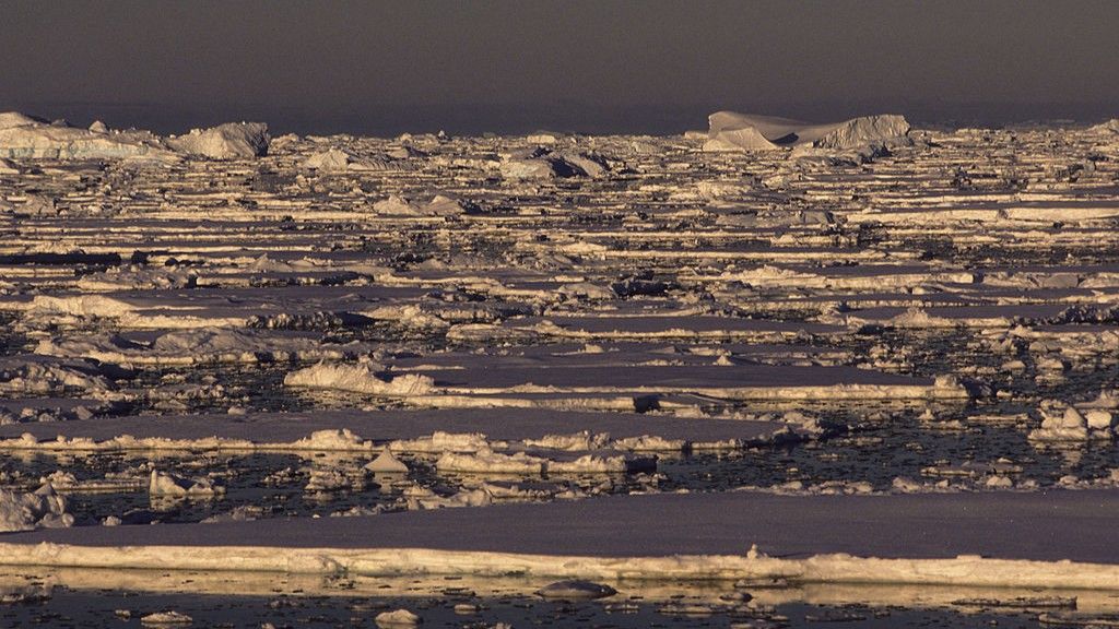 Antarctica’s sudden sea ice loss is one of the most extreme and confusing events in the modern climate record. Scientists now know why it’s happening.