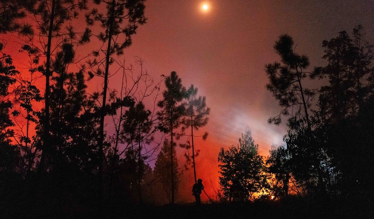 ‘The biggest El Niño event since the 1870s’: ‘Super’ El Niño is now the most likely scenario by the end of this year ‪—‬ and the humanitarian cost could be huge
