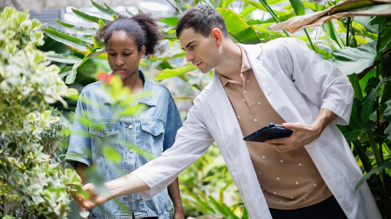 Can people catch infections from plants?