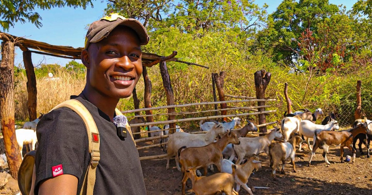 Zimbabwe’s diaspora reshapes real estate and farming investment trends