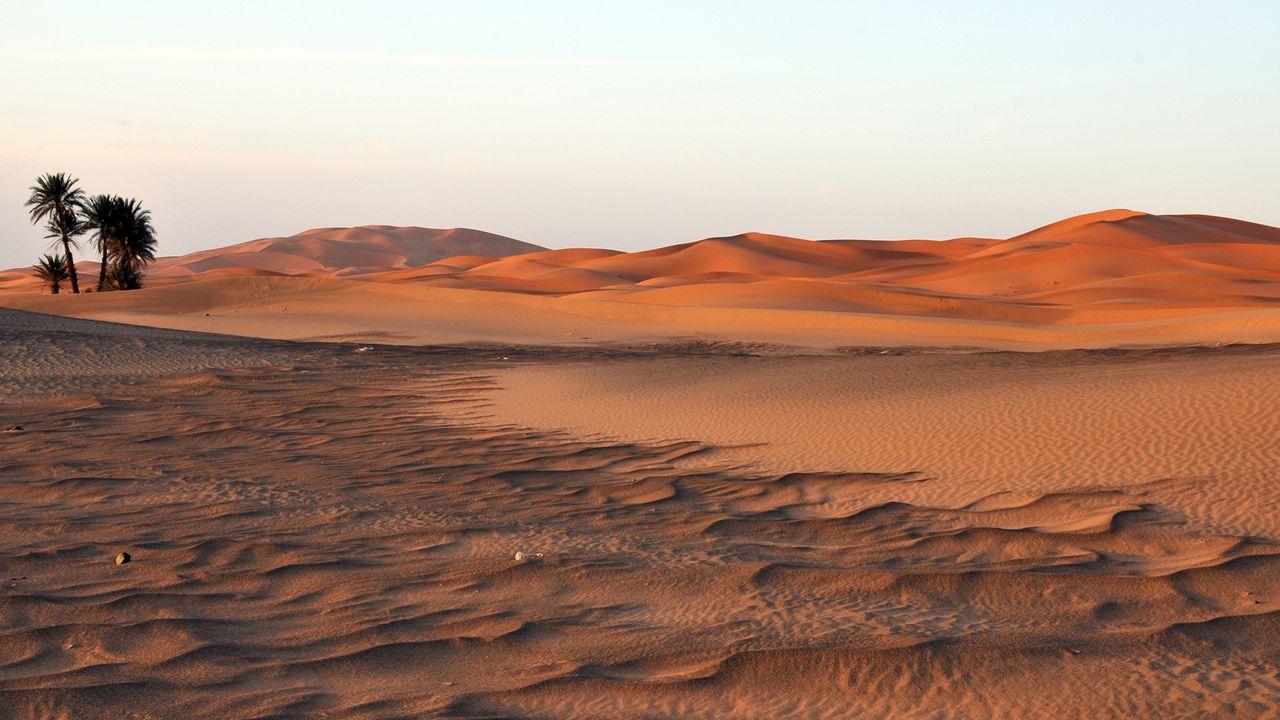 ‘We kept finding large, circular mass graves’ in the Sahara predating the ancient Egyptians, archaeologists report