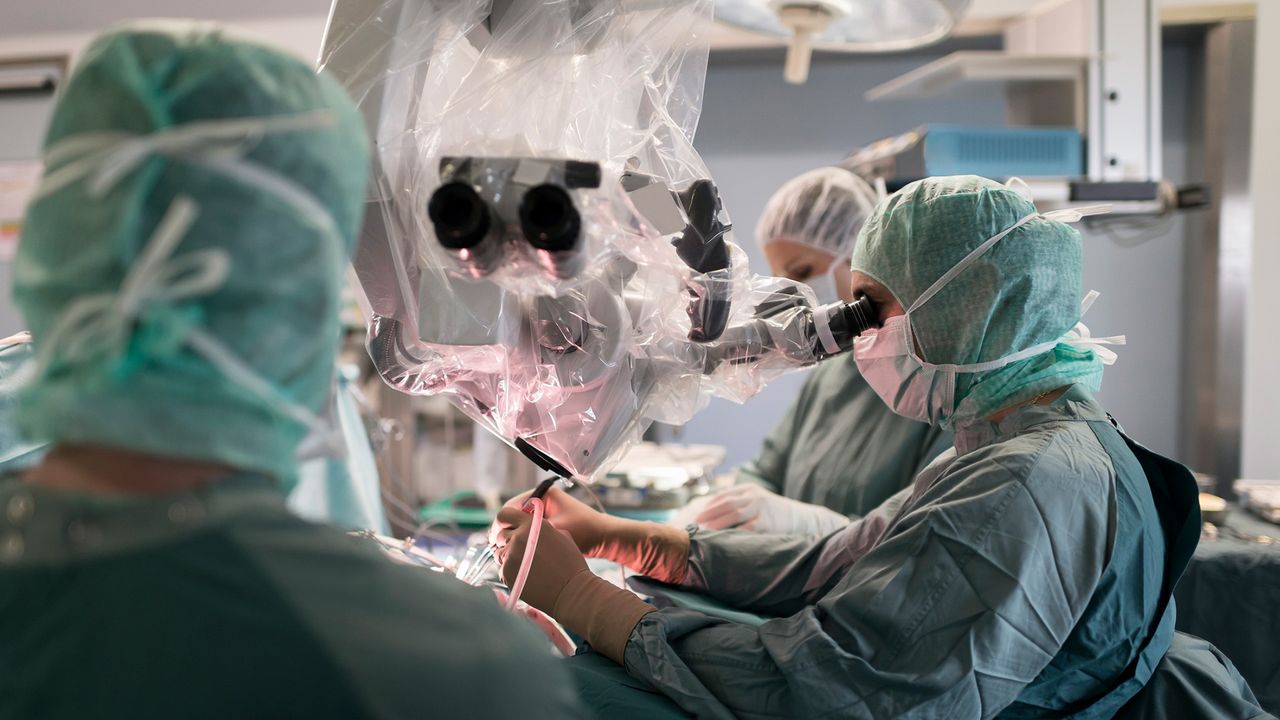 Why aren’t brain transplants possible?