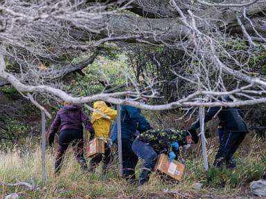 Argentines hunting for source of hantavirus outbreak trap rats in southernmost city