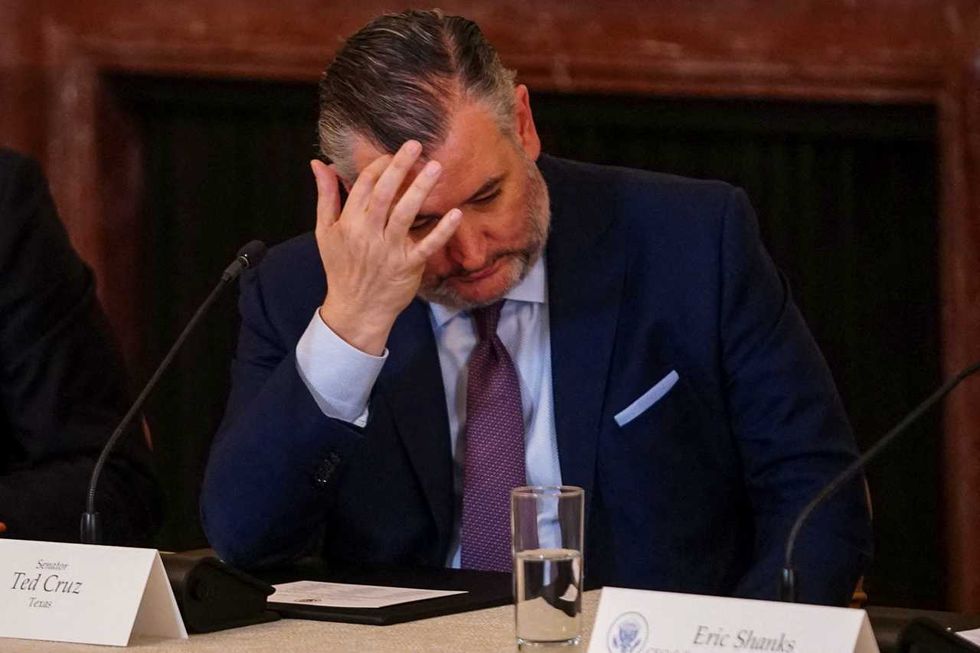 Ted Cruz gets all he can manage in heated exchange with TMZ reporter