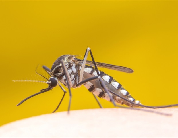 Researchers track genetic changes in Brazil’s rare Sabiá virus