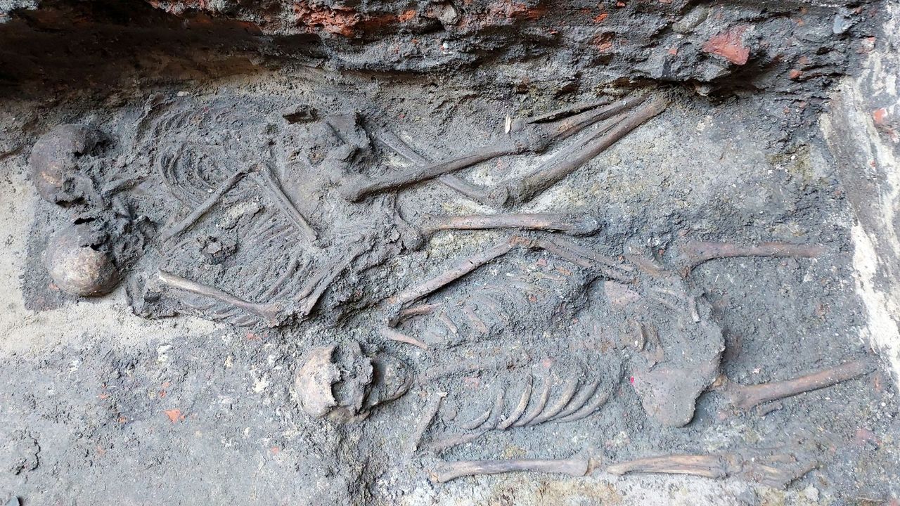 800-year-old ‘hugging skeletons’ are genetically confirmed as Poland’s only medieval same-sex double burial