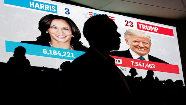 Democrats’ autopsy of 2024 U.S. election blames Harris and ‘identity politics’ for loss
