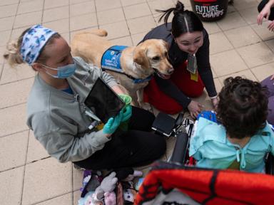 Healing with a wag and a nuzzle, meet the dogs brightening hospital days, in photos