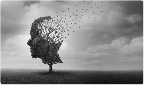 The MAHA Amnesia Project