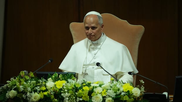 Pope Leo warns that AI challenges must be confronted with regulation, transparency in his 1st encyclical