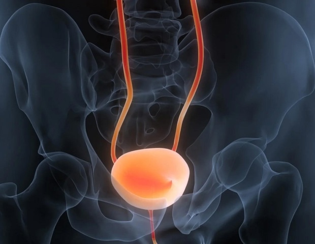 New peptide triggers domino effect to suppress bladder cancer