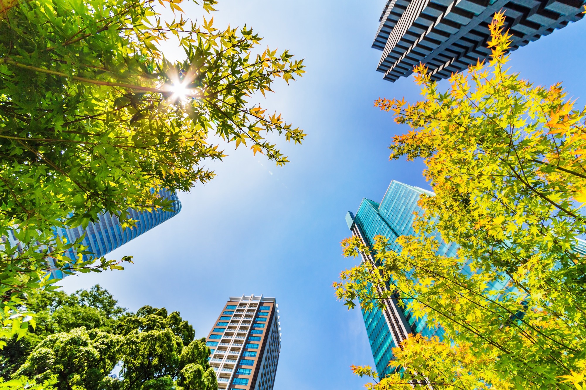 How heat-smart cities can protect outdoor recreation in a warming world