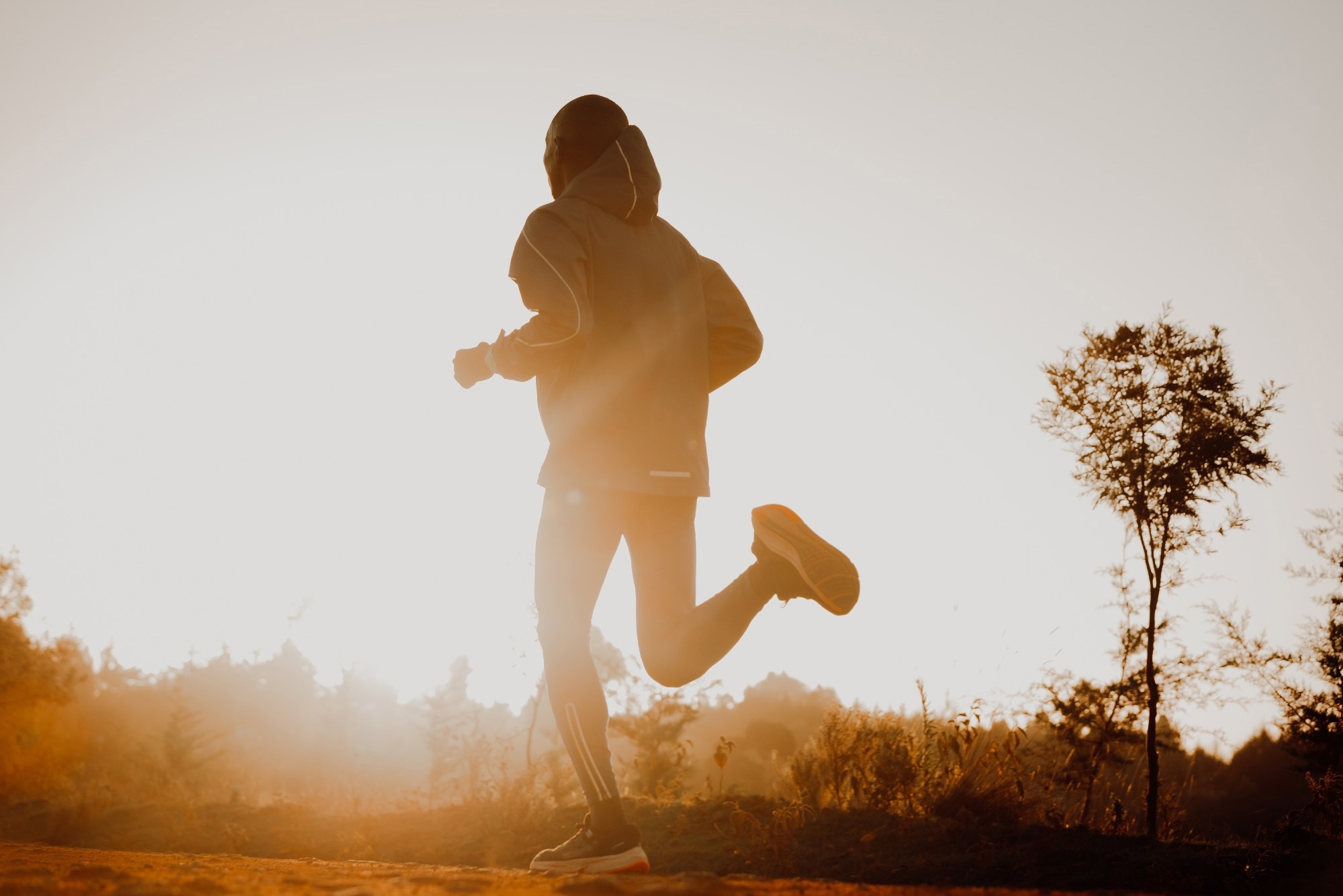 Why Kenya, Ethiopia, Japan, and the US stand out in global distance running