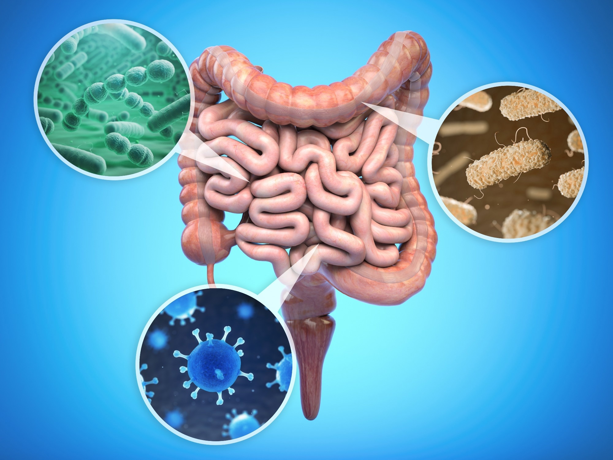 How the right diet could support the gut bacteria that matter most