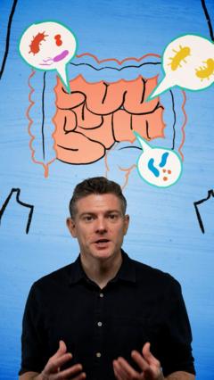 Why the gut is known as the second brain